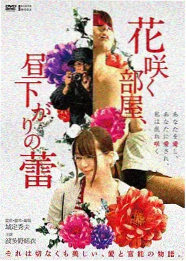 盐湖回声道具注记图，旧胶片盒与档案编号